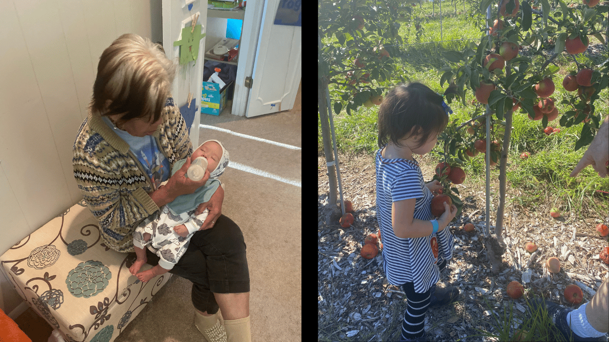 A grandmother bottle feeding a baby. A toddler apple picking. 