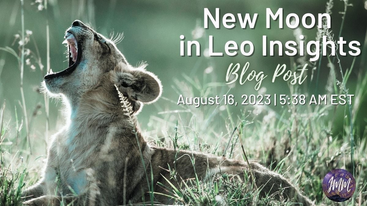 New Moon in Leo Insights Blog | Dr. Rowena Winkler