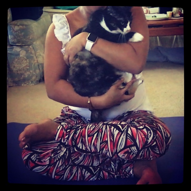 PETSANDPOSES7