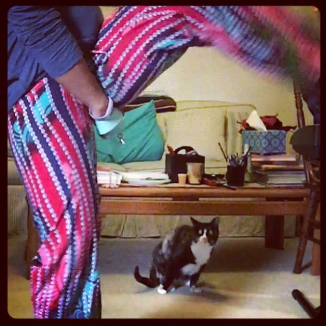 PETSANDPOSES2